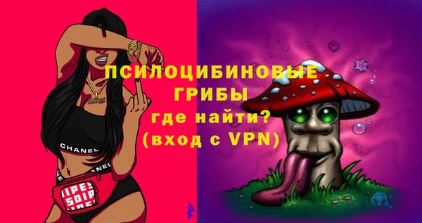 тгк Белокуриха