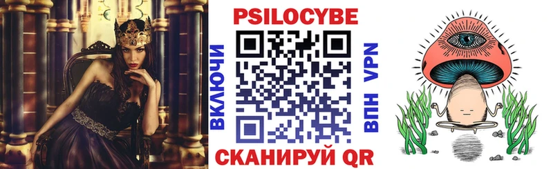 наркотики  Волжск  Псилоцибиновые грибы ЛСД 