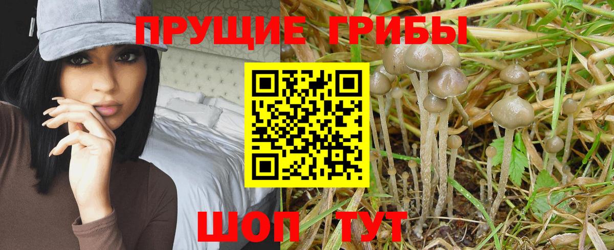 Галлюциногенные грибы мицелий Волжск